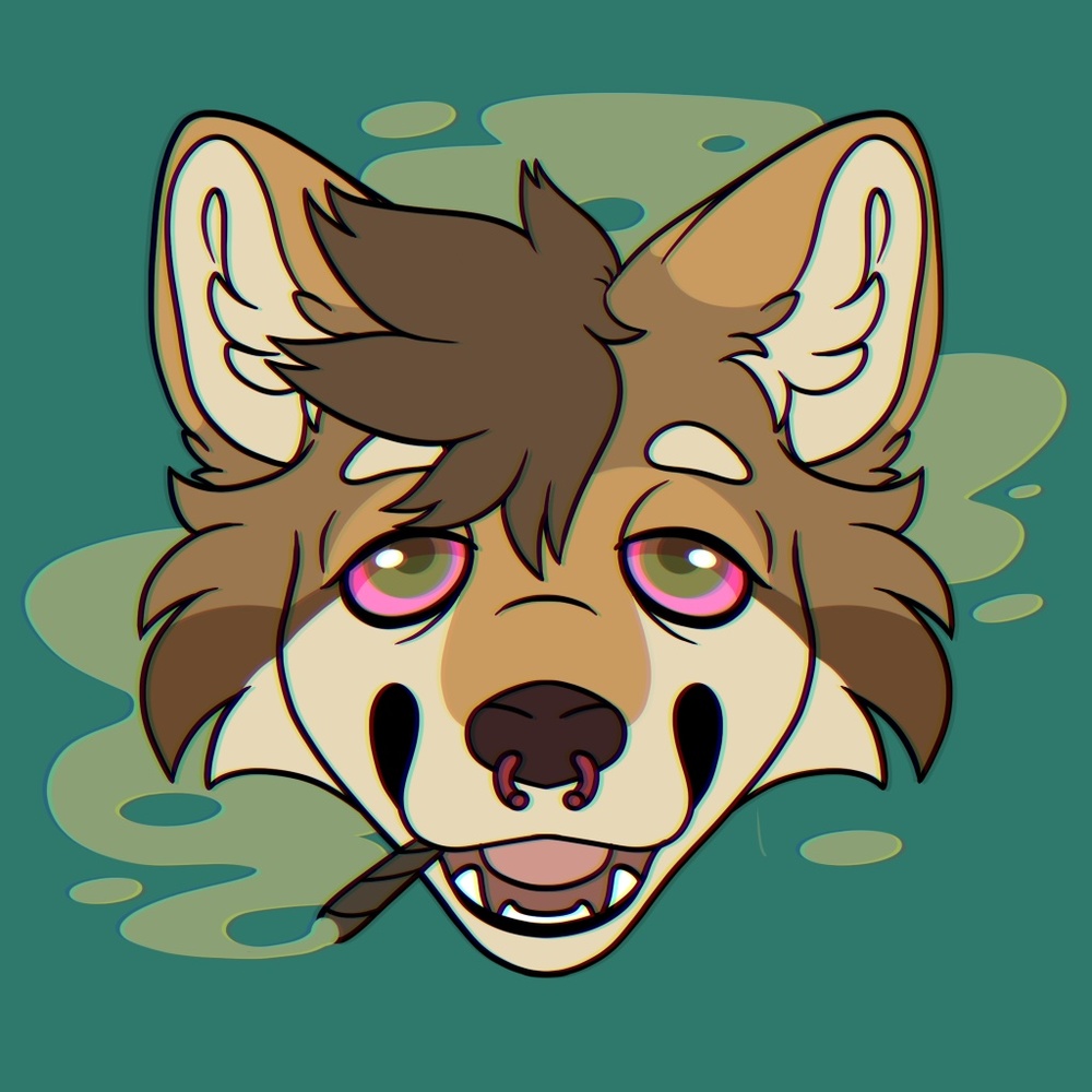 Meet your Posher, Xandri